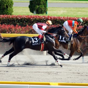 2011年5月ブリリアントＳ②