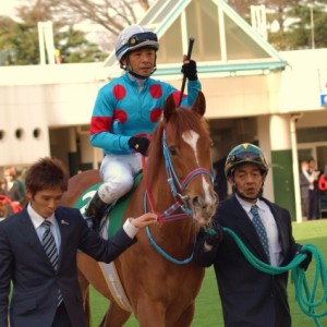 フラワーカップ（GⅢ）パドック２