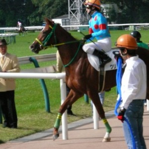 クリアソウル　2戦目