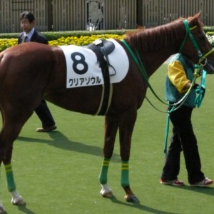 クリアソウル　2戦目