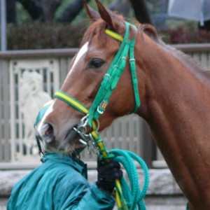 クリアソウル　1月31日