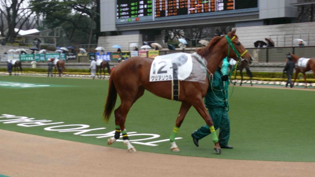 クリアソウル　1月31日 クリアソウル