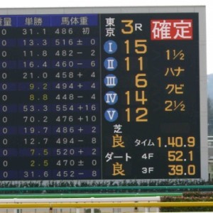 2009/02/15 東京3R 3歳未勝利