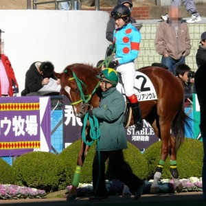 2009/01/11 中山1R 未勝利