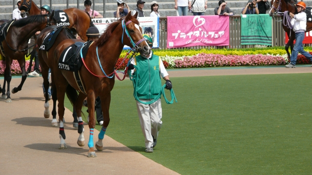 2009/05/23東京9R カーネーションカップ  クリアソウル