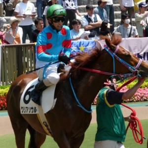 2009/05/10 東京5R 3歳500万下