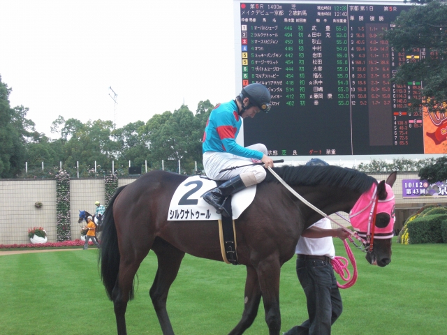 新馬戦パドック シルクナトゥール