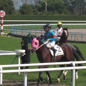 新馬戦　レース終了後