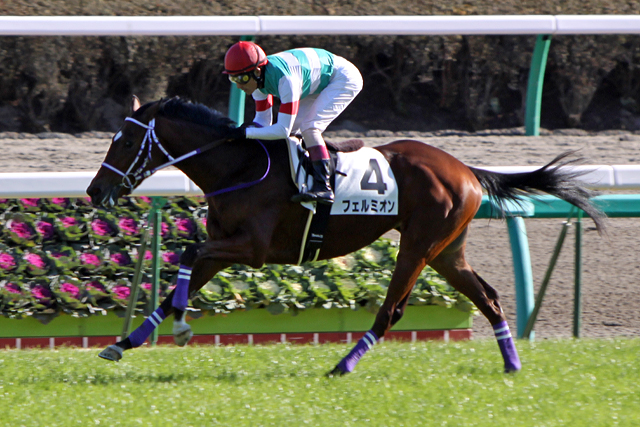 ２歳新馬 フェルミオン