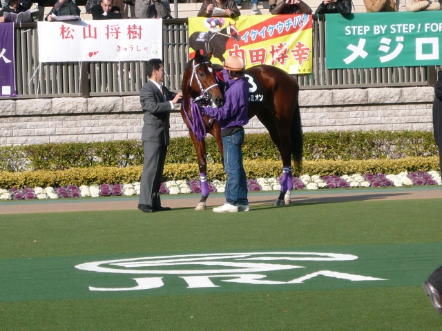 2009/2/7春菜賞パドック フェルミオン