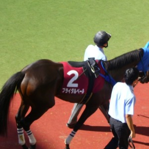 ローズSパドックその１