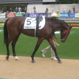 府中競馬場パドックにて