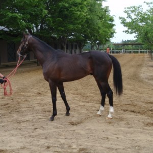 ミッドウェイファームにて