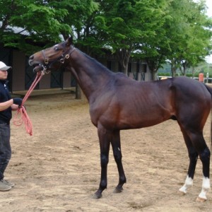 ミッドウェイファームにて