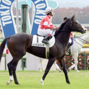 2008/11/15東京6R新馬戦優勝時