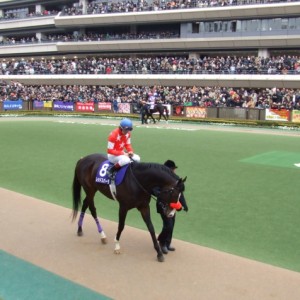 フェブラリーステークス