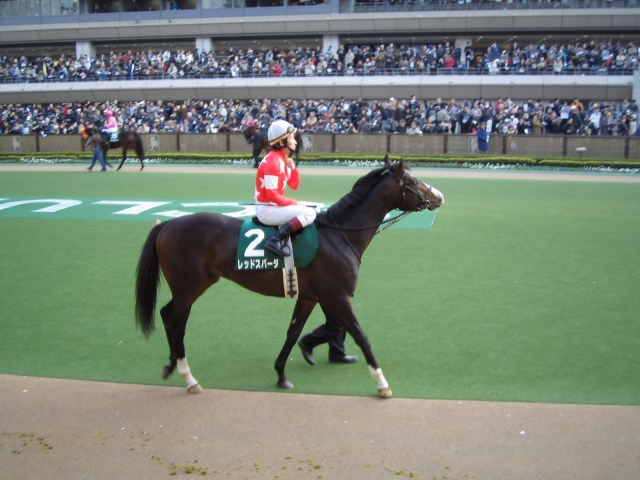 東京新聞杯GⅢ レッドスパーダ