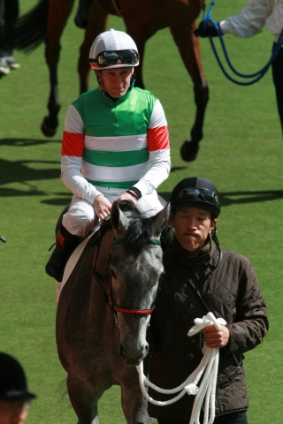 3歳500万下牝（特指）  クリンゲルベルガー