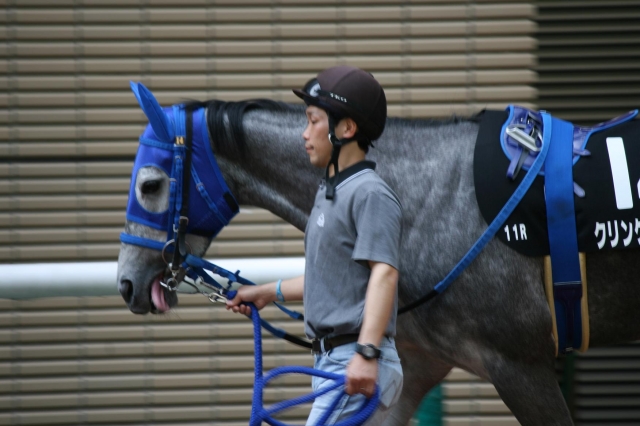 2010.04.10　福島１１R　パドック クリンゲルベルガー