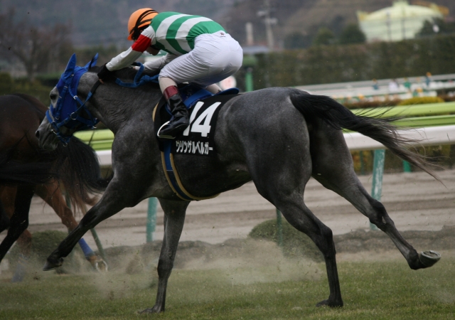 2010.04.10　福島１１R　最後の直線 クリンゲルベルガー