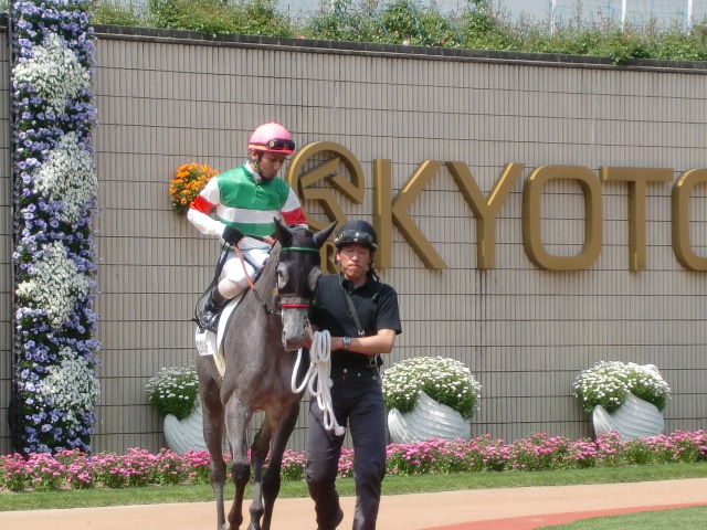 ０９．５．２京都７Ｒ　３歳５００下(牝)ダート１２００ クリンゲルベルガー