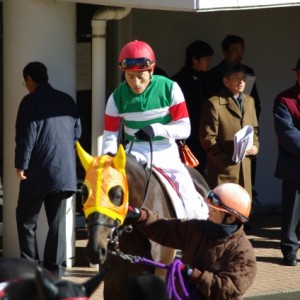 12.27中山2歳未勝利　パドック