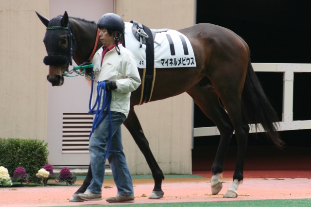 ２００９年２月２８日小倉４Ｒ マイネルメビウス