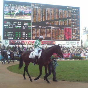 新馬戦パドック