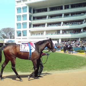 3/29　中山２R　未勝利戦