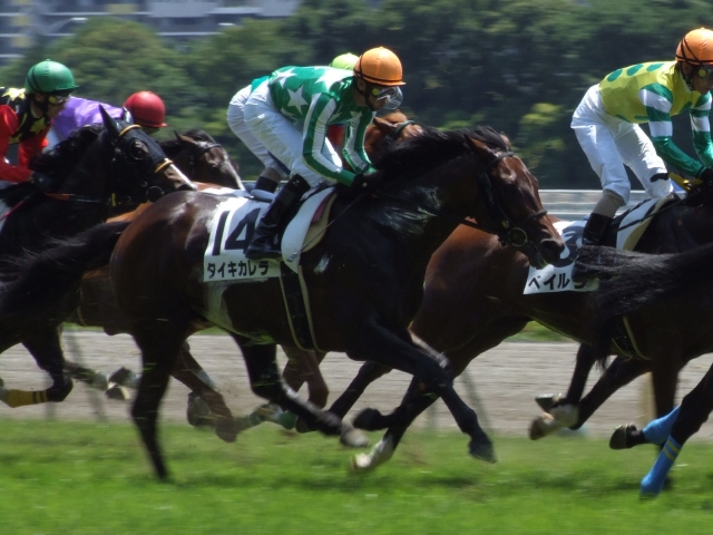 ３歳未勝利（Ｈ２１．６．７） タイキカレラ