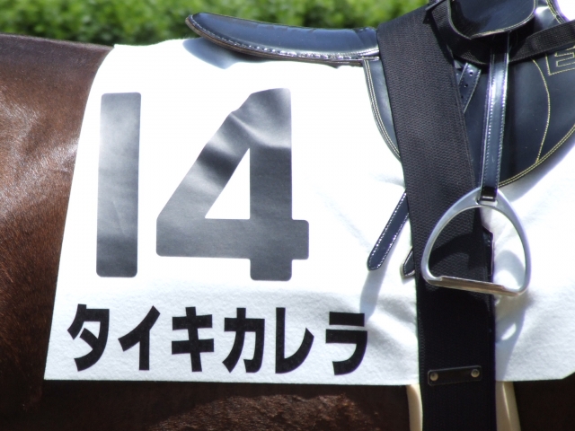 ３歳未勝利（Ｈ２１．６．７） タイキカレラ