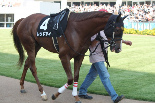 2010/9/11　松戸特別 レッドアイ