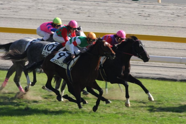１１月２３日　東京６Rメイクデビュー ナビエストークス