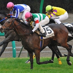 12月14日　中山３Ｒ２歳未勝利戦