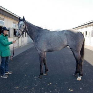 ３月１９日グリーンウッド