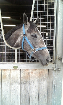 9/18　グリーンウッド ミリアム