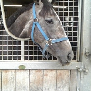 9/18　グリーンウッド