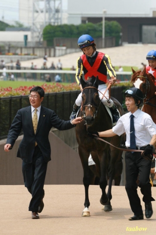 新馬戦本馬場入場 マカロンドナンシー