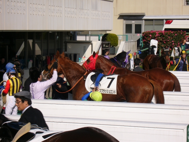 スプラッシュエンド② スプラッシュエンド