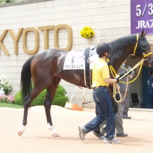 ５月３日京都６Ｒ