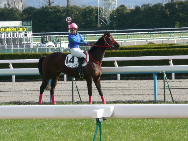 新馬戦馬場上でイヤイヤ ベイビーローズ