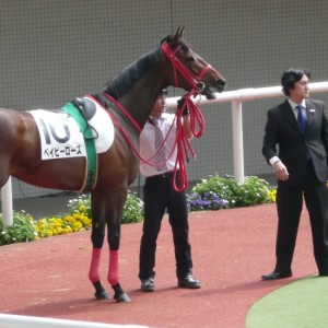 ４／５　５００万戦