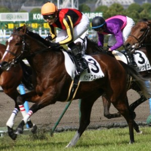 ２００９年２月２１日小倉２Ｒ