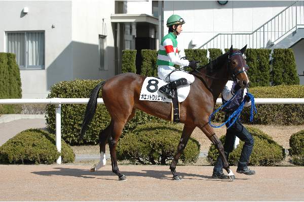 新馬戦 ポエットロリエット