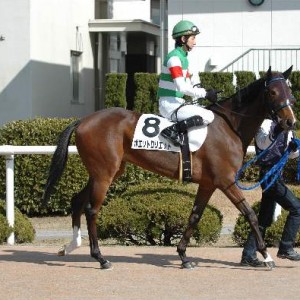 新馬戦