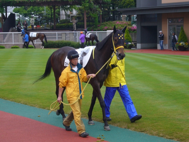 5/17 デビュー戦パドック ファーレサルティ