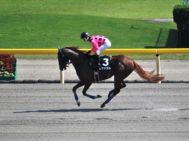 2010.08.21新潟8R柏崎特別　返し馬 レアメタル