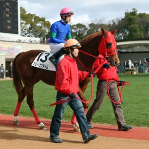 2009/01/24 京都２Ｒ ３歳新馬