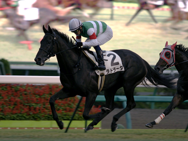 2009.10.3 500万下 ラドラーダ