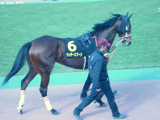 ４戦目パドック ウィザースプーン